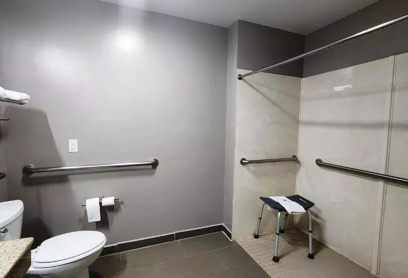 身障者適用キングサイズベッドルーム, Motel 6ennis, Tx