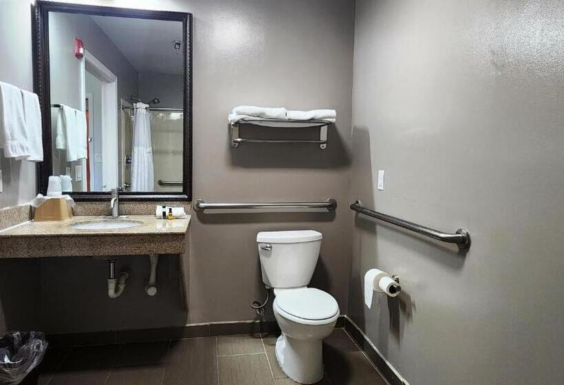 غرفة قياسية سرير كينج لذوى الإحتياجات الخاصة, Motel 6ennis, Tx