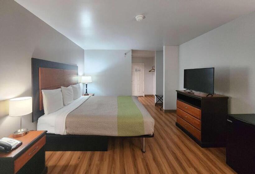 غرفة قياسية سرير كينج لذوى الإحتياجات الخاصة, Motel 6ennis, Tx