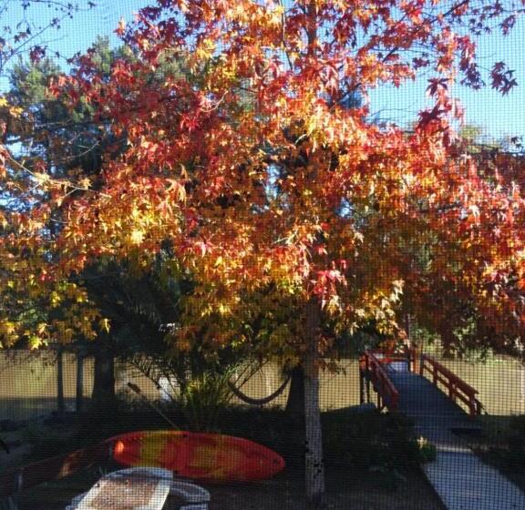 バス共有のスタンダードルーム, Gaia Hostal