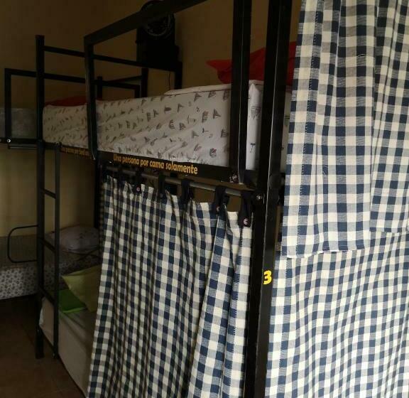 تختخواب در اتاق مشترک, La Terraza Hostel