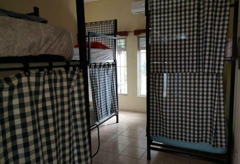 تختخواب در اتاق مشترک, La Terraza Hostel