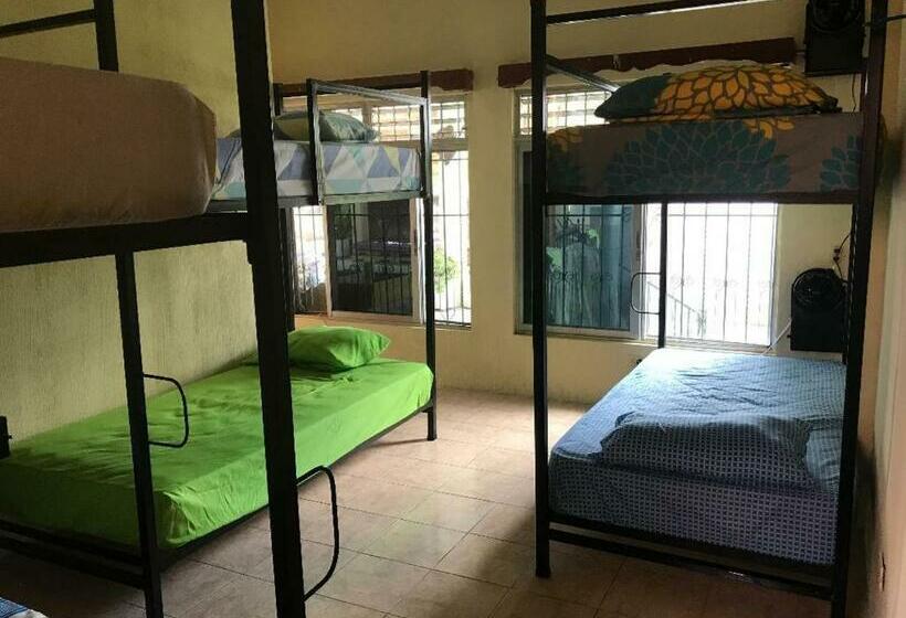 تختخواب در اتاق مشترک, La Terraza Hostel