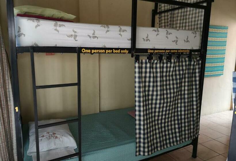 تختخواب در اتاق مشترک, La Terraza Hostel