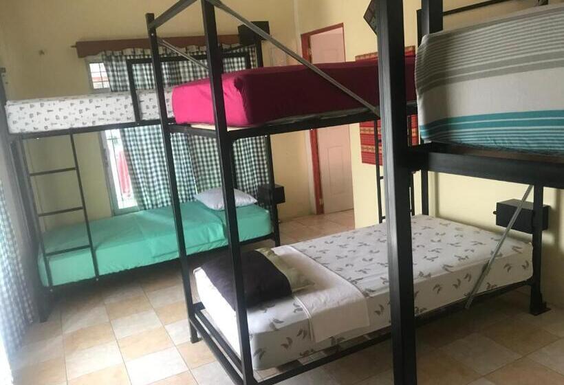 تختخواب در اتاق مشترک, La Terraza Hostel