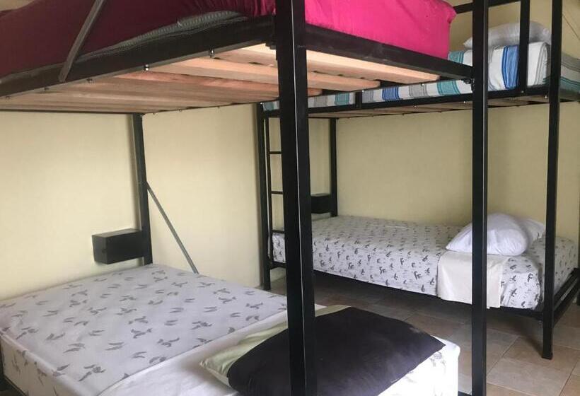 تختخواب در اتاق مشترک, La Terraza Hostel