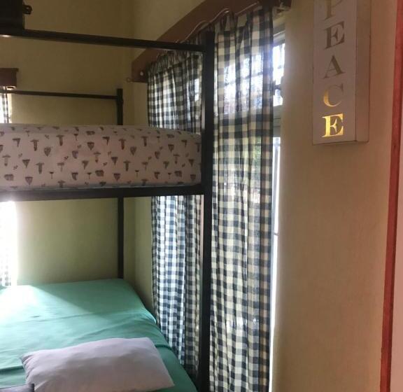 تختخواب در اتاق مشترک, La Terraza Hostel