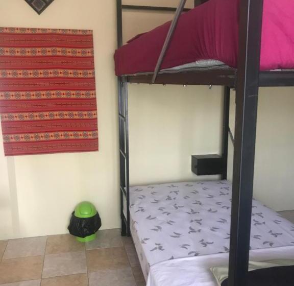 تختخواب در اتاق مشترک, La Terraza Hostel