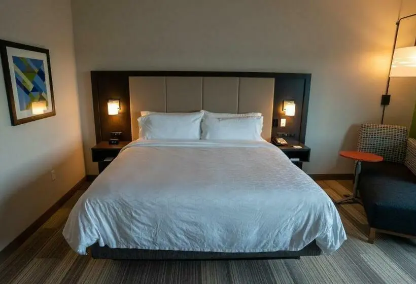 スタンダードルーム, Holiday Inn Express & Suites Richburg, An Ihg