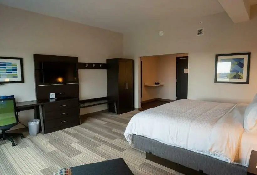 キングサイズベッドのエクゼクティブルーム, Holiday Inn Express & Suites Richburg, An Ihg