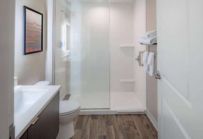 キングサイズベッドのスイートルーム, Towneplace Suites Austin South