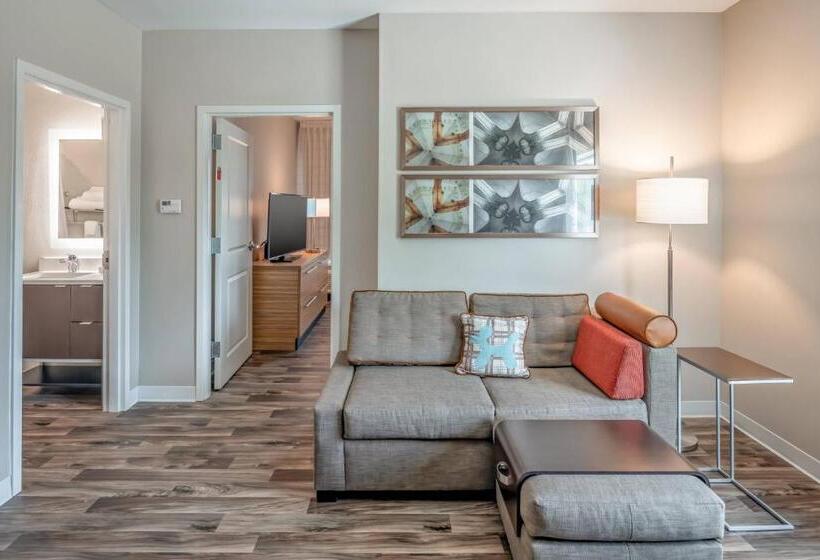 キングサイズベッドのスイートルーム, Towneplace Suites Austin South