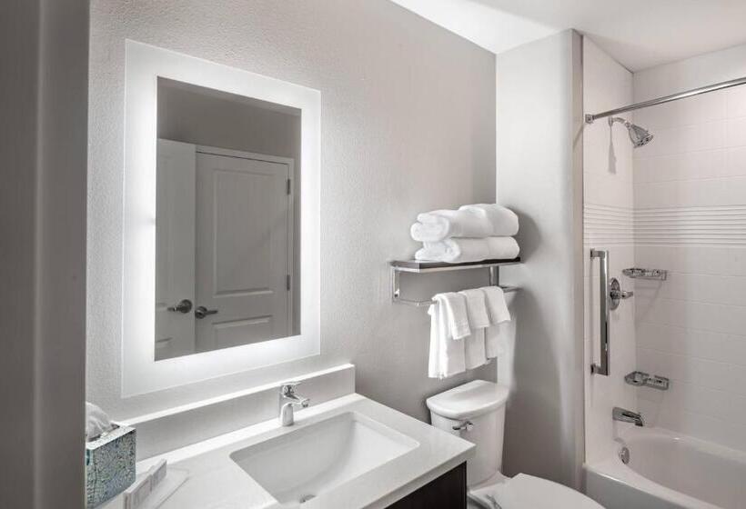 スタンダードスタジオ, Towneplace Suites Austin South