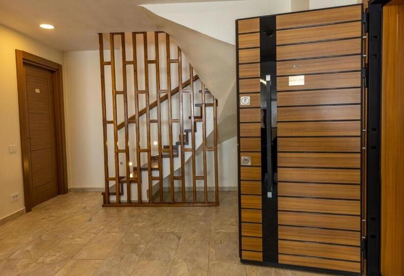 Camera Standard, Sir Fundeni