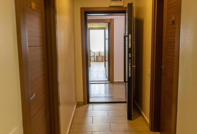 Camera Standard, Sir Fundeni