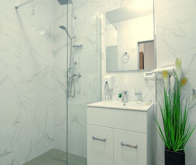 Camera Standard, Sir Fundeni