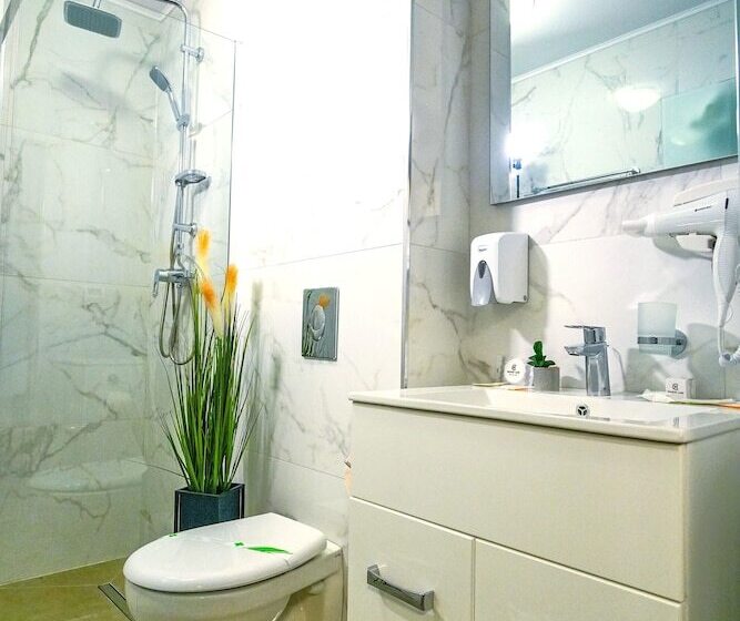 Camera Standard, Sir Fundeni