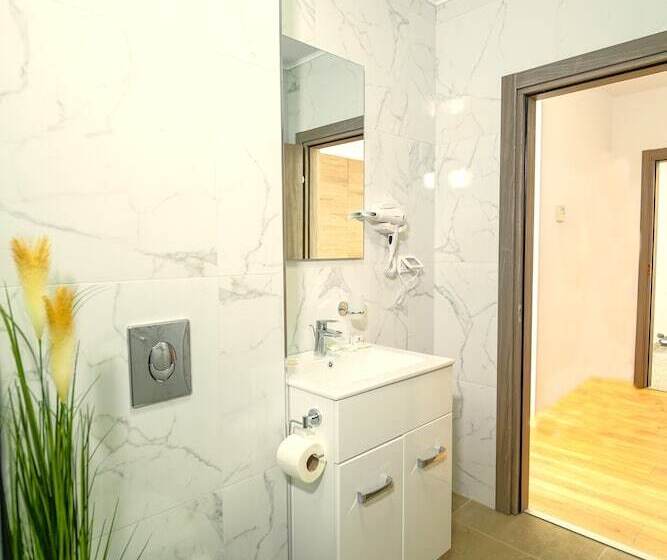 Camera Standard, Sir Fundeni