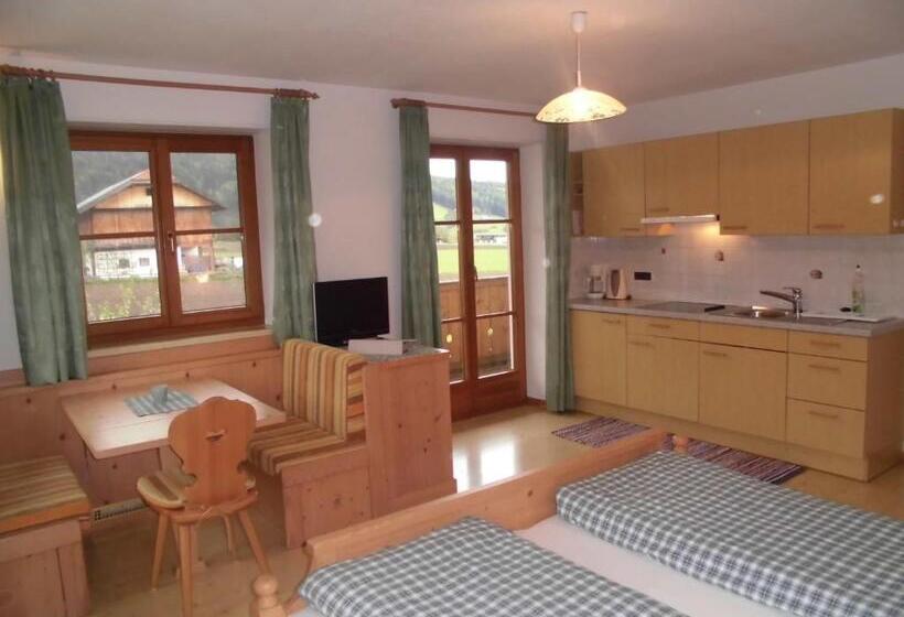 Апартаменты 1 Спальня с Видом, Appartements Färberhof