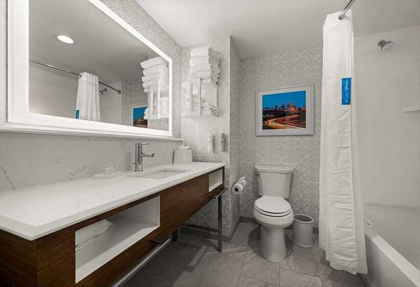 장애인을 위한 스탠다드 룸, Hampton Inn Cedar Falls Downtown