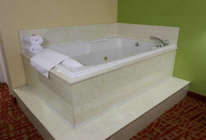 سوئیت با تخت بزرگ, Baymont By Wyndham Sevierville Pigeon Forge