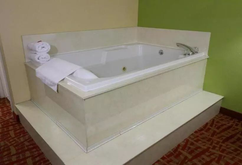 سوئیت با تخت بزرگ, Baymont By Wyndham Sevierville Pigeon Forge