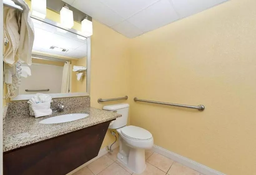 اتاق استاندارد با تخت بزرگ, Baymont By Wyndham Sevierville Pigeon Forge