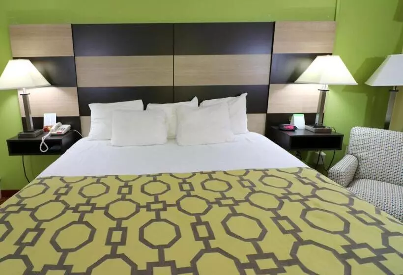 اتاق استاندارد با تخت بزرگ, Baymont By Wyndham Sevierville Pigeon Forge