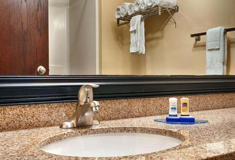 Номер Стандарт Адаптированный для Инвалидов, Best Western Crossroads Inn