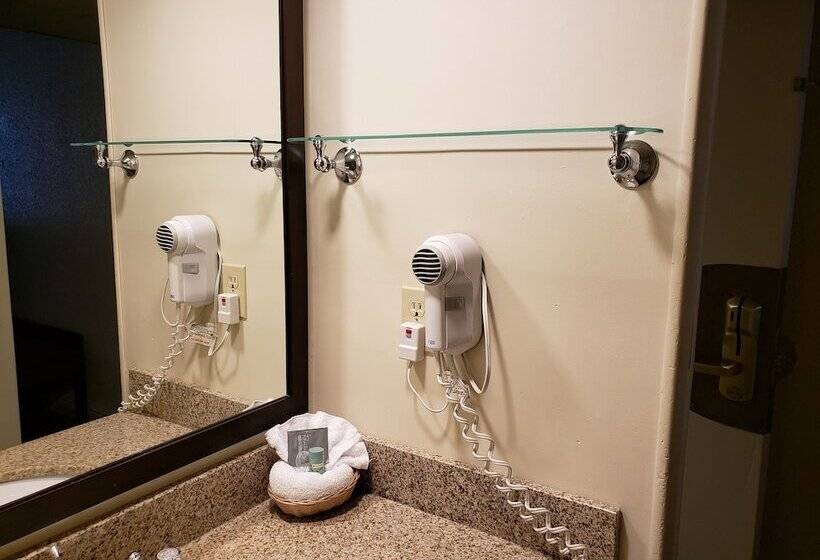 带2个双人床的标准工作室, Best Western Merry Manor Inn