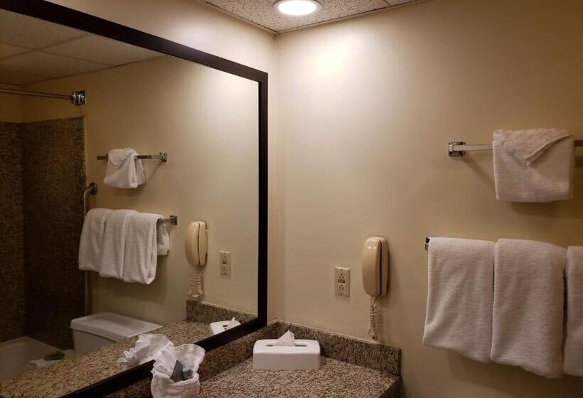 Стандартный Номер Кровать Кинг, Best Western Merry Manor Inn