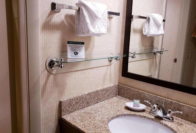 Номер Стандарт, Best Western Merry Manor Inn