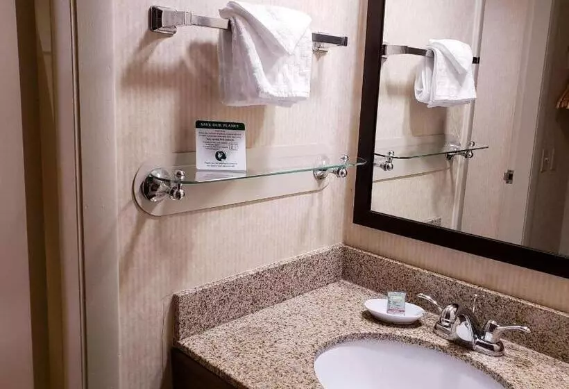 身障者適用クイーンサイズベッドルーム, Best Western Merry Manor Inn