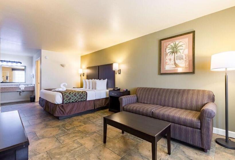 스탠다드 룸 킹사이즈 침대, Best Western Padre Island