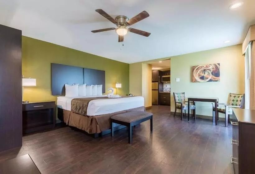 سوئیت با تخت بزرگ, Best Western Padre Island