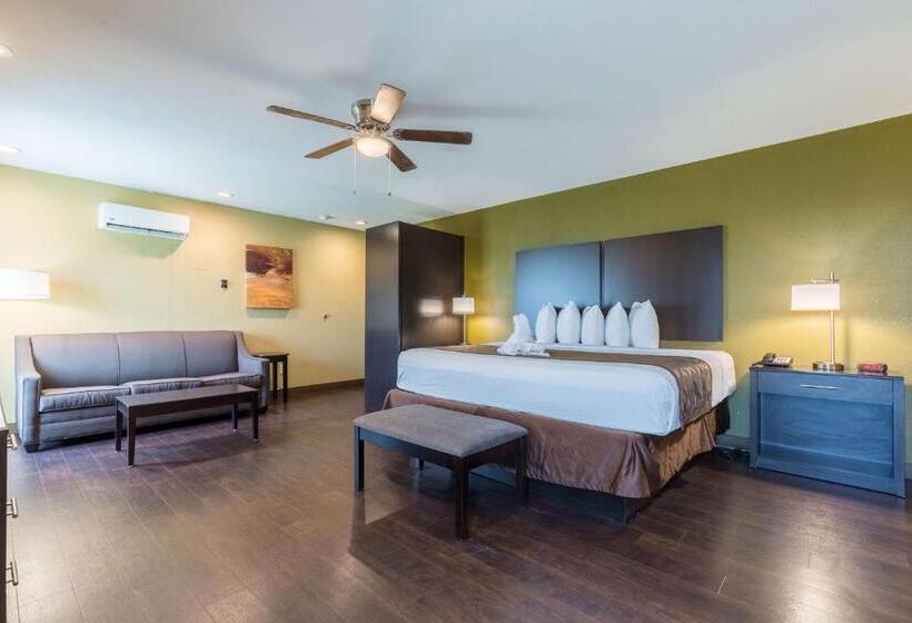 جناح سرير كينج, Best Western Padre Island