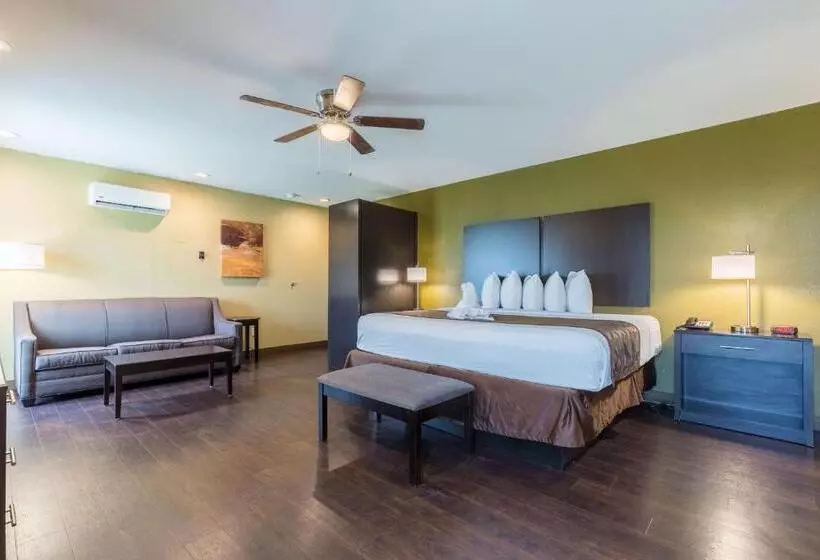 سوئیت با تخت بزرگ, Best Western Padre Island