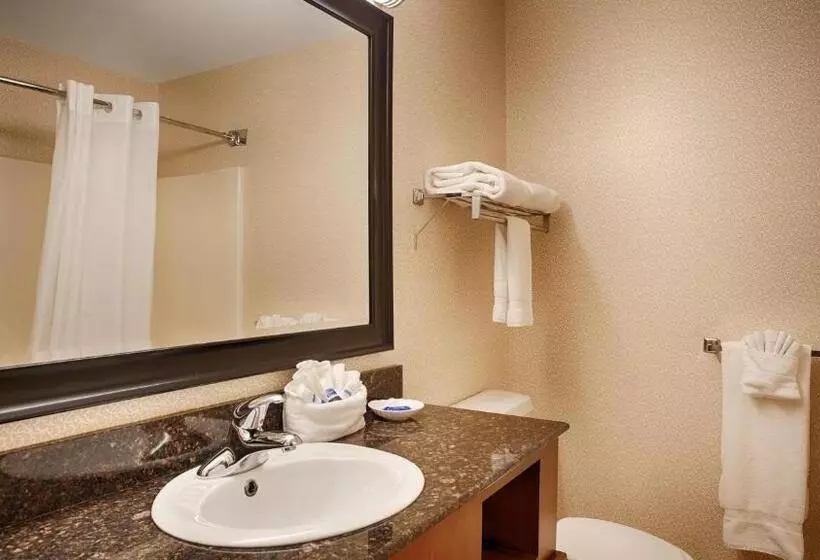 身障者適用スタンダードルーム, Best Western Plus Inn At Hunt Ridge