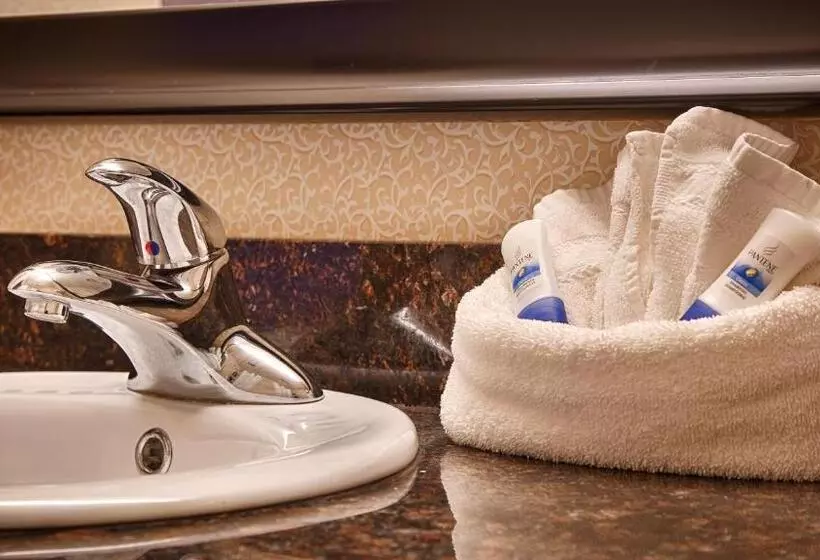 身障者適用キングサイズベッドルーム, Best Western Plus Inn At Hunt Ridge