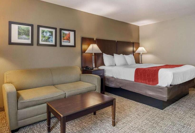 Стандартный Номер Кровать Кинг, Comfort Inn & Suites Perry National Fairgrounds Area