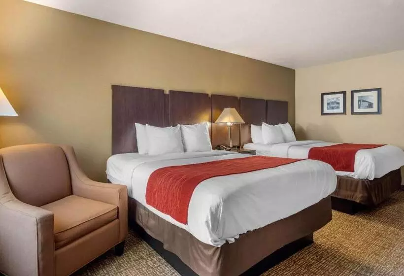 スタンダードルーム, Comfort Inn & Suites Perry National Fairgrounds Area