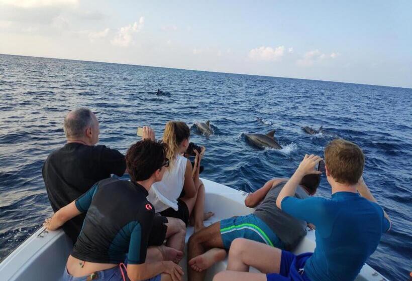 اتاق استاندارد, Blue Water Thoddoo Inn