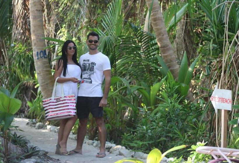 اتاق استاندارد, Blue Water Thoddoo Inn