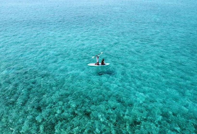 اتاق لوکس, Blue Water Thoddoo Inn