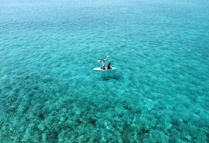 اتاق لوکس, Blue Water Thoddoo Inn