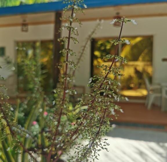 اتاق لوکس, Blue Water Thoddoo Inn