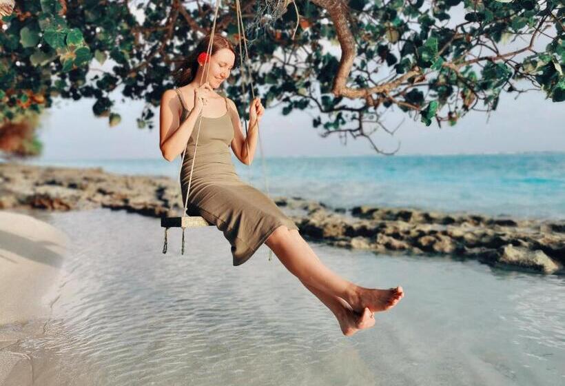 اتاق استاندارد یک نفره, Blue Water Thoddoo Inn