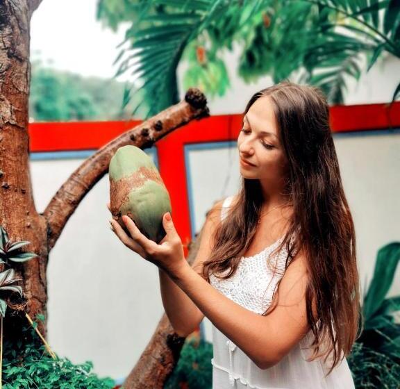 اتاق استاندارد یک نفره, Blue Water Thoddoo Inn