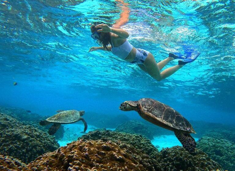 اتاق استاندارد یک نفره, Blue Water Thoddoo Inn