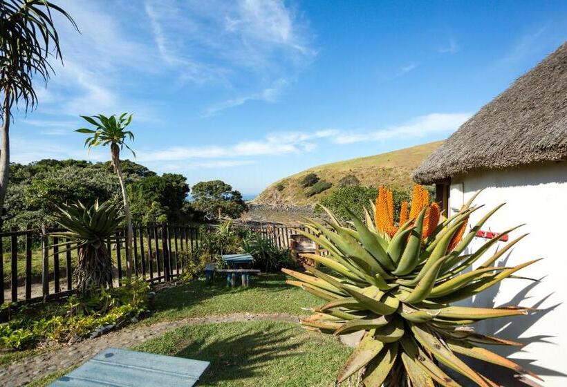 חדר סטנדרט חדר אמבטיה משותף, Coffee Shack Adventure Backpackers & Self Catering